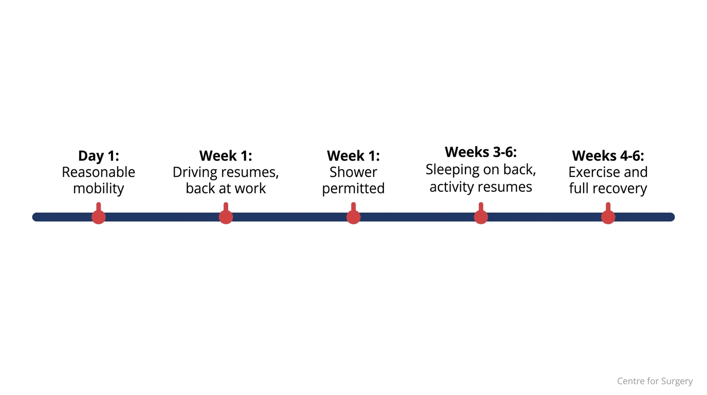 Recovery timeline diagram for ponytail lift surgery showing key milestones from day 1 to week 6