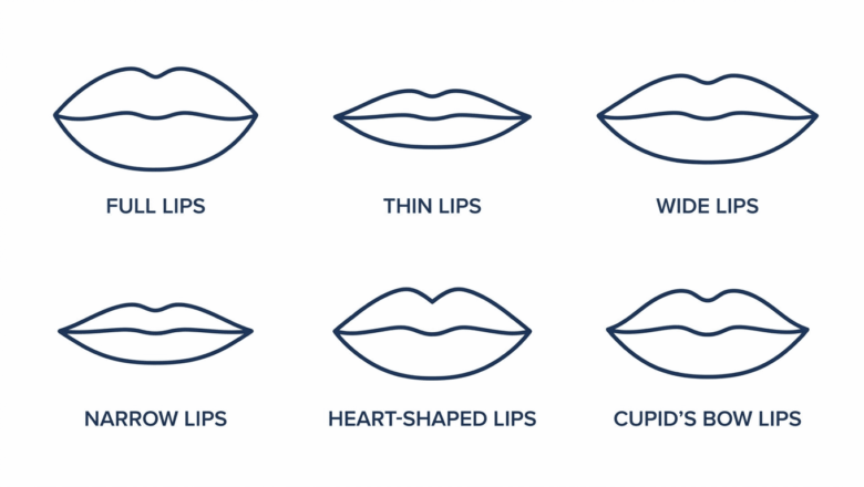 Medical illustration diagram showing six different lip shapes: full lips, thin lips, wide lips, narrow lips, heart-shaped lips and Cupid's bow lips — Centre for Surgery London